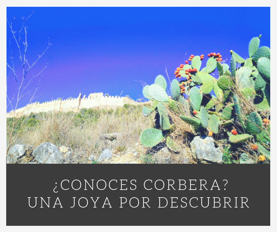 Corbera, el paraíso donde cultivamos nuestras Martirinas